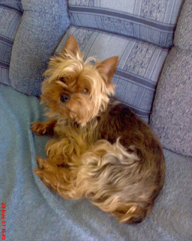 Foto: Jesika-Jesika